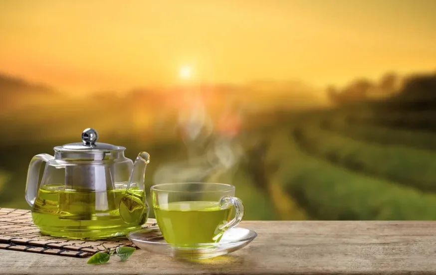 (צילום: DONOT6_STUDIO/shutterstock)