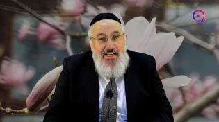 הרב ציון כהן | פרשת השבוע | פרשת ויקהל פקודי