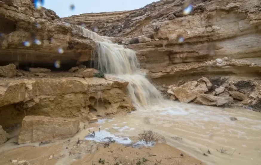 חיזוק מהפרשה: אדם משתוקק וכוסף באמצע המדבר חיזוק מהפרשה: אדם משתוקק וכוסף באמצע המדבר