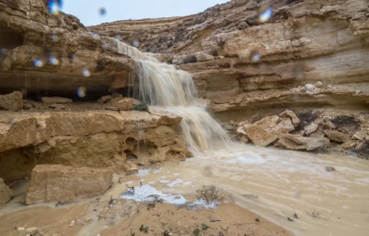 חיזוק מהפרשה: אדם משתוקק וכוסף באמצע המדבר