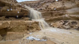 חיזוק מהפרשה: "כשאדם משתוקק וכוסף באמצע המדבר"