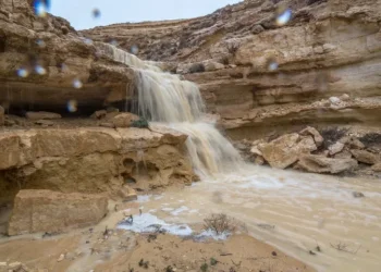 חיזוק מהפרשה: אדם משתוקק וכוסף באמצע המדבר