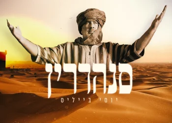 יוסי בייליס - סנהדרין