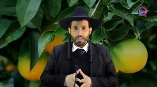 הרב יקיר בוטה | פרשת ויקרא | ראש חודש ניסן וברכת האילנות