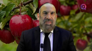 הרב עזרא שקלים | הלכות וסודות ברכת האילנות