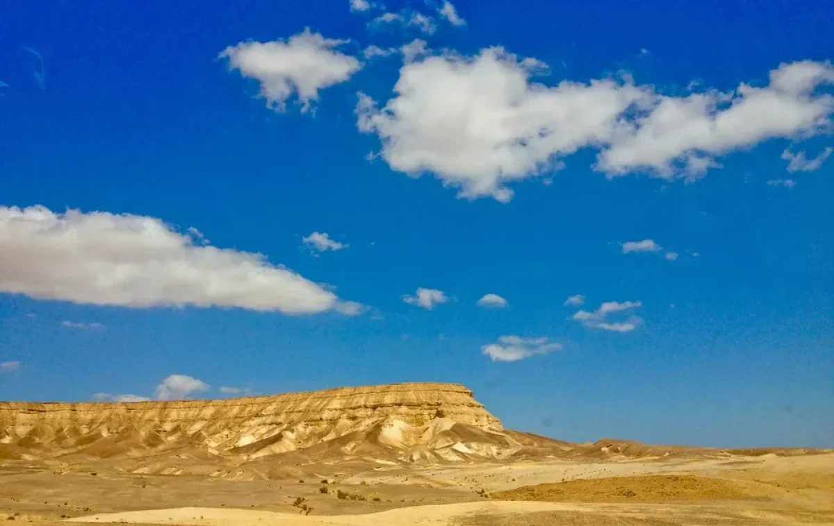 (צילום: KerenJ/shutterstock) (צילום: KerenJ/shutterstock)