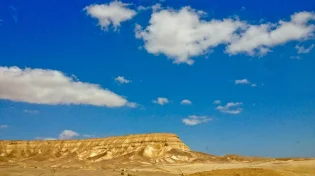 גלי חום קיצוניים ועלייה בתמותה: תרחיש האימים של משרד הביטחון