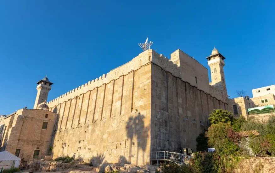 (צילום: MWPHOTOS55/shutterstock) (צילום: MWPHOTOS55/shutterstock)