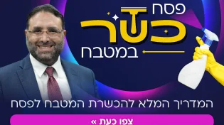 איך מכשירים את הבית לפסח בדקה? ערוץ 2000 בפרויקט הכשר