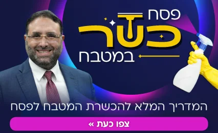 איך מכשירים את הבית לפסח בדקה? ערוץ 2000 בפרויקט הכשר