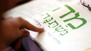 כולם עייפים: איך אפשר לגרום שליל הסדר יהיה מעניין?