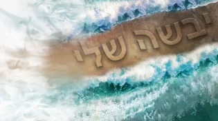 איצי וולדנר ואיציק דדיה - ״יבשה שלי״