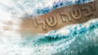 איצי וולדנר ואיציק דדיה - ״יבשה שלי״