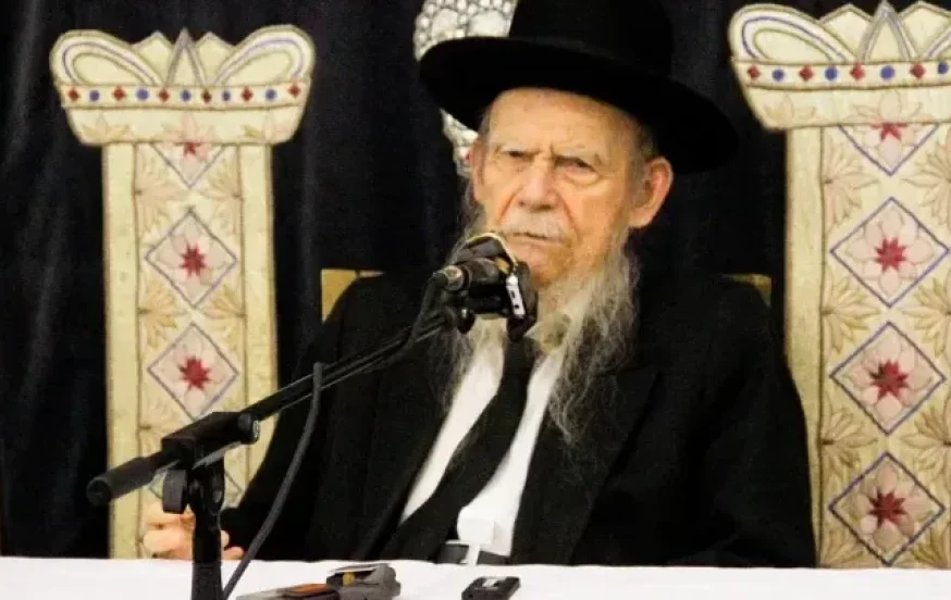 (צילום: דוד קשת) (צילום: דוד קשת)
