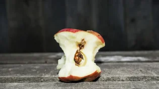מכרסם בכם: כמה מקום צריך לתת למה שמכאיב לכם?