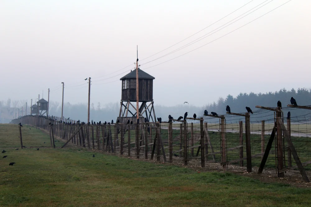 יום השואה: סיפור עוצמתי ומרגש יום השואה: סיפור עוצמתי ומרגש