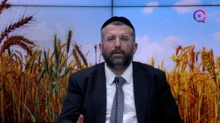 הלכות ספירת העומר | הרב דוד שלום נקי