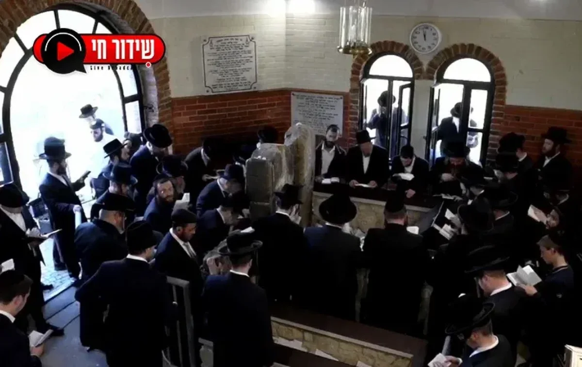 הילולת ר' שעיה מקרעסטיר | שידור חי מציונו בהונגריה הילולת ר' שעיה מקרעסטיר | שידור חי מציונו בהונגריה