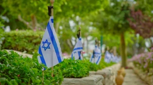 בושה: מפגיני השמאל משתמשים בחללים לצרכי תעמולה - צפו
