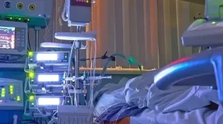 סופרת אמריקאית, פרסמה שבחים על פעילות ייחודית של אברכי סאטמר