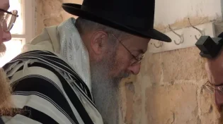 הרב טאו: "לצאת להפגנה שאינה רק למימוש הרפורמה במערכת המשפט"