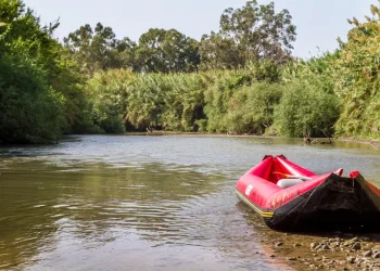 ארגון חוננו בפנייה למשטרה: "אירוע דריסת החרדים בירדן: פיגוע"