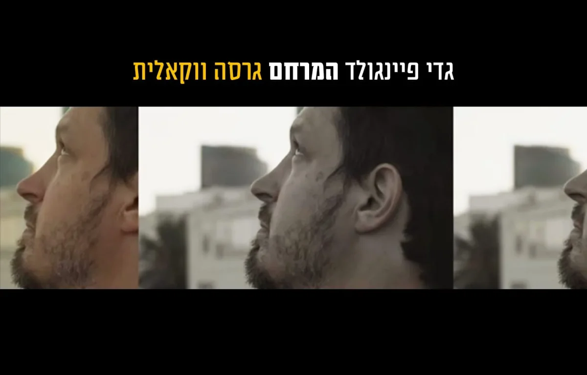 גדי פיינגולד - 'המרחם'