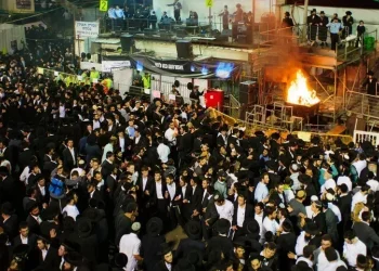 בשיא ההילולה: מעמד סיום משניות לזכרם של מ"ה קדושי מירון