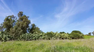 תחזית מזג האוויר: עלייה בטמפרטורות, עם התקררות בסוף השבוע