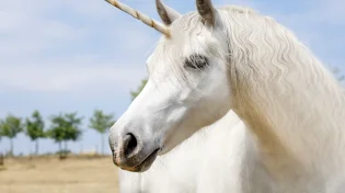 רק באגדות? חד קרן, החיה הקסומה, מופיעה גם במקורות יהודיים