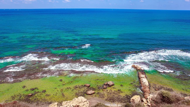 תגלית מדהימה מהתקופה הרומית בחופי ישראל