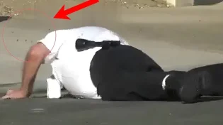 לא נעים: מתנדב המשטרה נקרא לאירוע וקיבל עשרות עקיצות - צפו: 