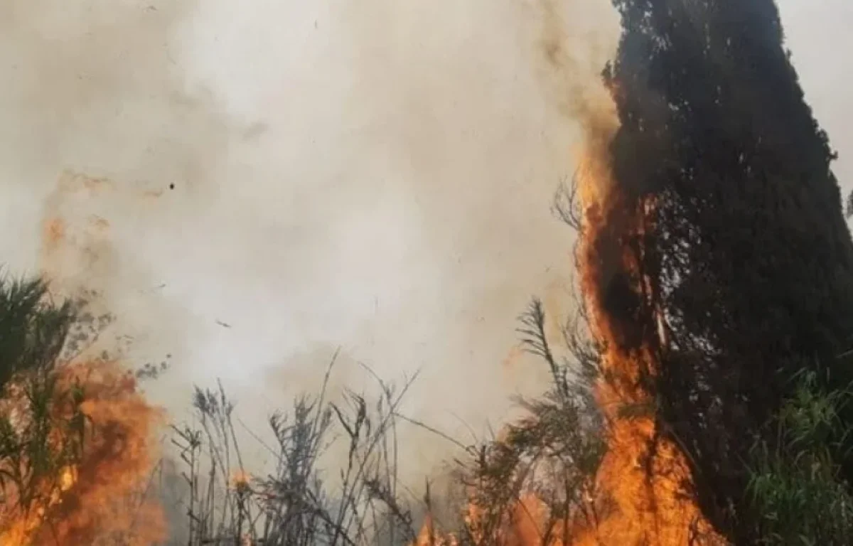 שריפת ענק ליד פתח תקווה: צוותי כיבוי גדולים במקום