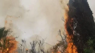 שריפת ענק ליד פתח תקווה: צוותי כיבוי גדולים במקום