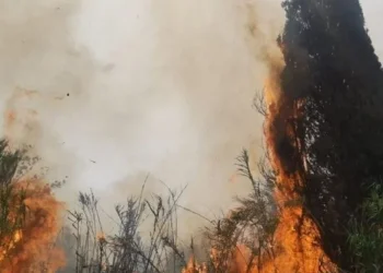 שריפת ענק ליד פתח תקווה: צוותי כיבוי גדולים במקום