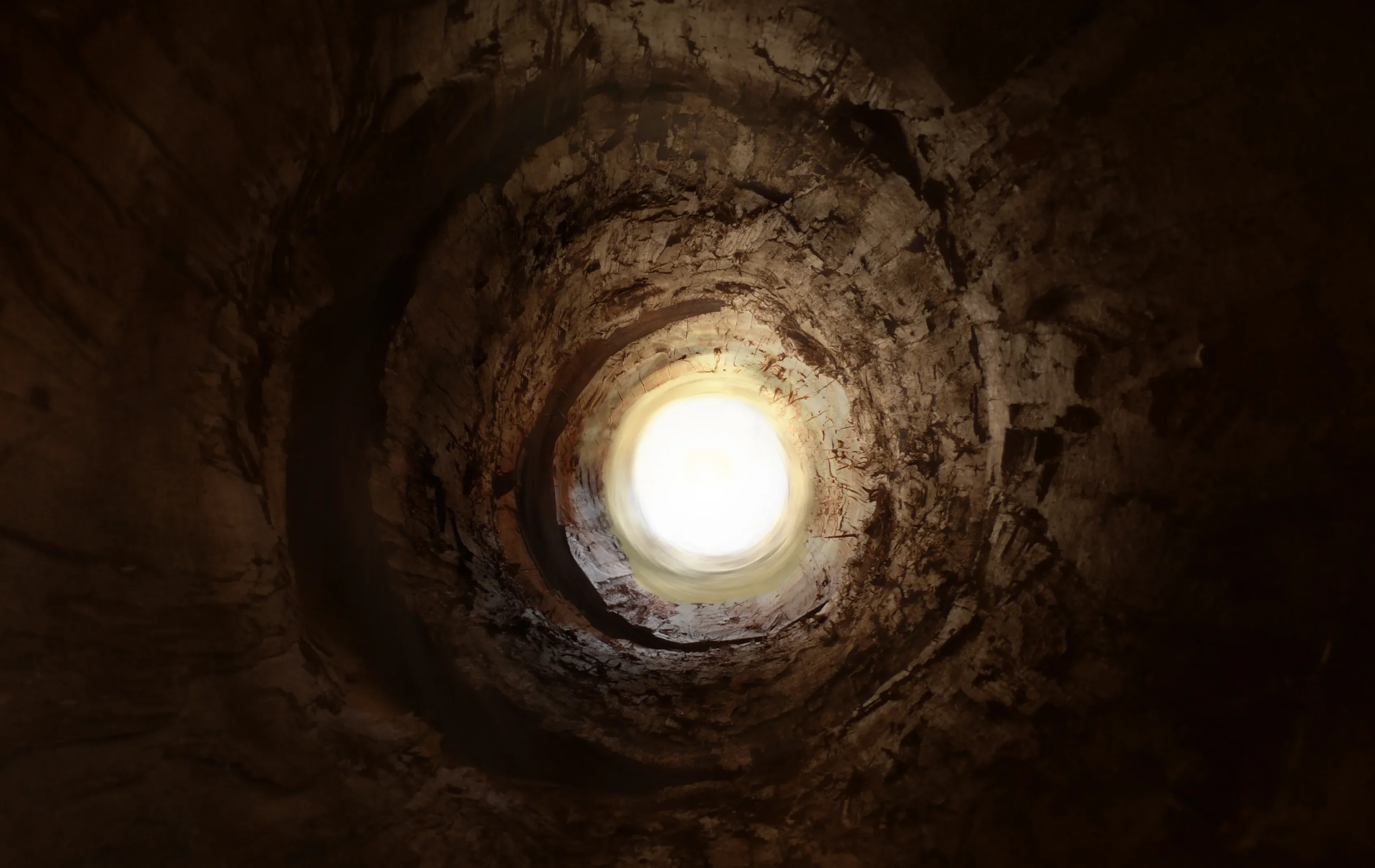 כיצד זכתה רות המואבייה להתרומם מעל מזלה? כיצד זכתה רות המואבייה להתרומם מעל מזלה?