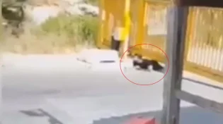 זחל מתחת לגדר ותכנן לבצע פיגוע בבית הכנסת: צפו בתיעוד