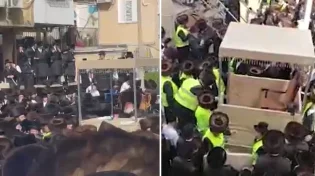 כרכרה מיוחדת לאדמו"ר: כך חגגו בחסידות ויזניץ' עם התורה