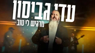 עדי גביסון - "מרגיש לי טוב"