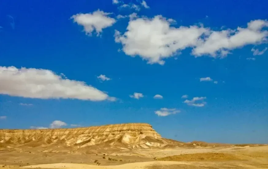 הדוח המפתיע: משבר האקלים יביא למאות אלפי משרות חדשות הדוח המפתיע: משבר האקלים יביא למאות אלפי משרות חדשות