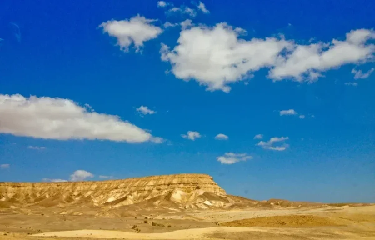 הדוח המפתיע: משבר האקלים יביא למאות אלפי משרות חדשות