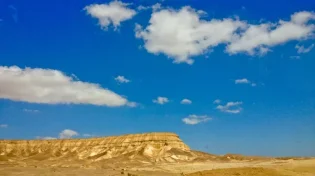 הדוח המפתיע: משבר האקלים יביא למאות אלפי משרות חדשות
