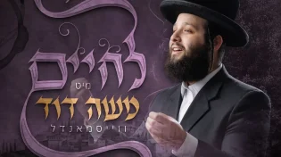 תקציר האלבום החדש של משה דוד וייסמנדל