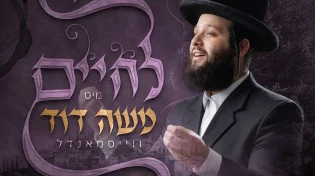 תקציר האלבום החדש של משה דוד וייסמנדל