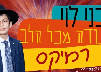 בני לוי - "תודה מכל הלב"