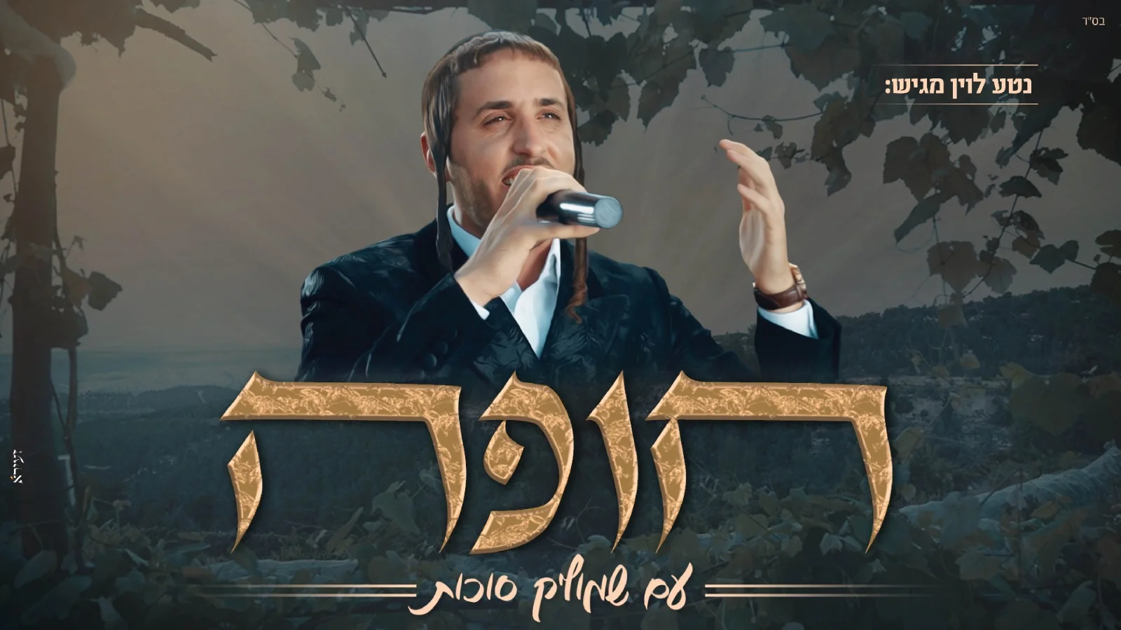 שמוליק סוכות וחברים - חופה לייב