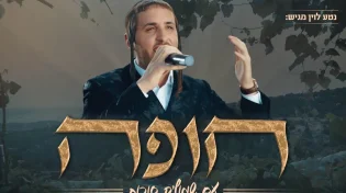 שמוליק סוכות וחברים - חופה לייב