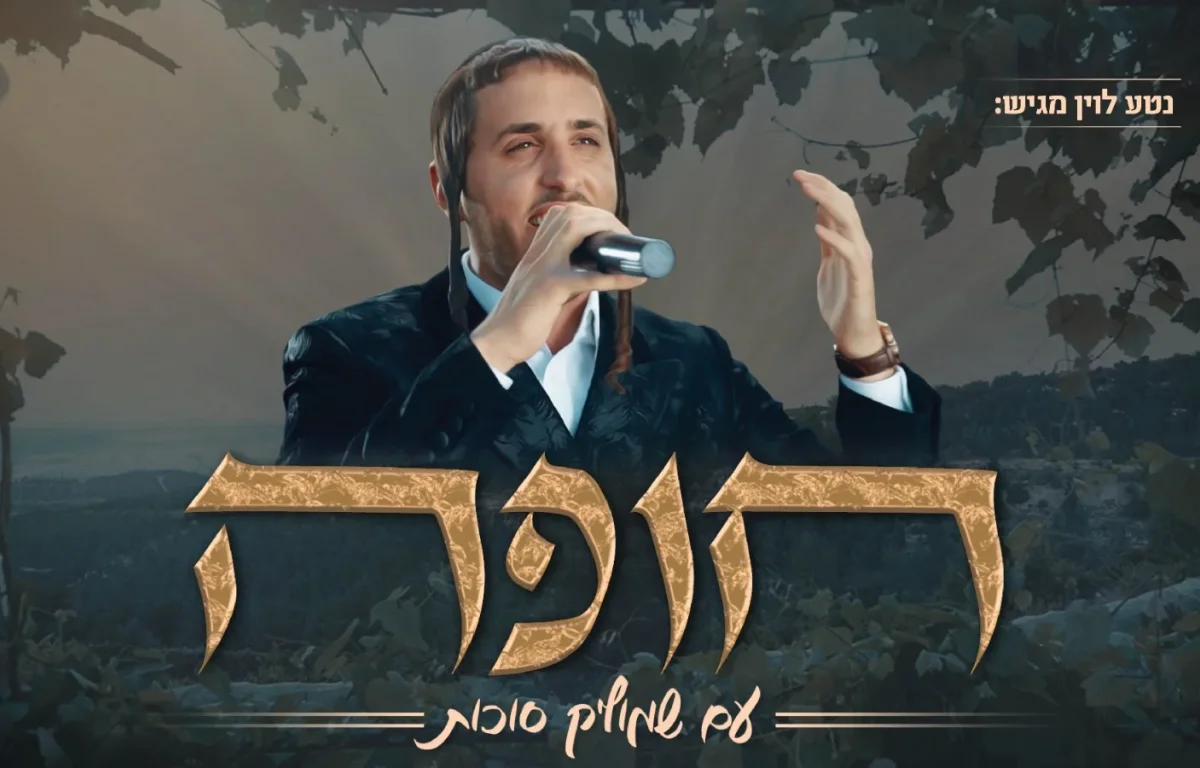 שמוליק סוכות וחברים - חופה לייב