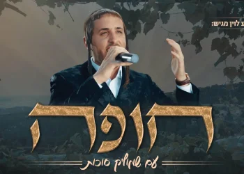 שמוליק סוכות וחברים - חופה לייב