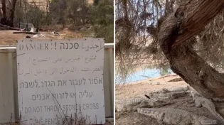 "פצצה מתקתקת"? כמעט 2000 תנינים "תקועים" בחווה בבקעה - צפו: